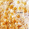 GAVIN HERLIHY - Back Burner ((Vinyl))
