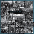 GEOGRAPHY OF HELL - Verdun, 1916 ((Vinyl))