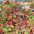 Giant Sand - Return to Valley of Rain  (New Vinyl LP)