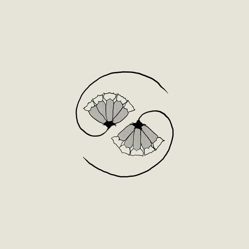 Godspeed You Black Emperor - G_d's Pee AT STATE'S END! [Incl. 10"]  (New Vinyl LP)