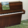 Grandaddy - The Sophtware Slump .... On A Wooden Piano [Cloudy Clear Vinyl]  (New Vinyl LP)
