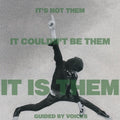Guided by Voices - It's Not Them. It Couldn't Be Them. It Is Them!  (New Vinyl LP)