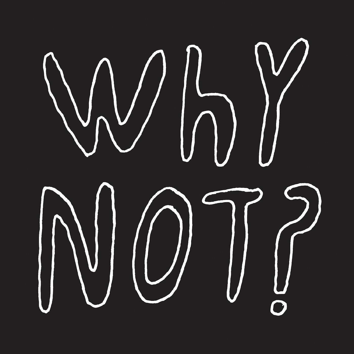 Half Japanese - Why Not? ((Vinyl))