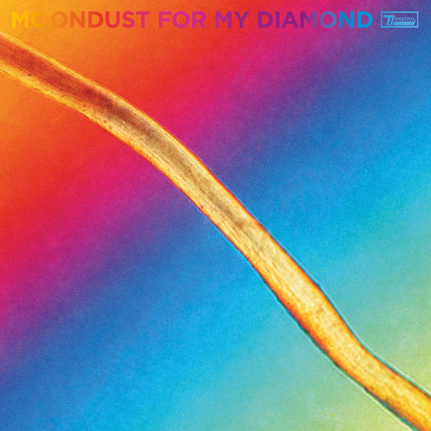 Hayden Thorpe - Moondust For My Diamond ((Vinyl))