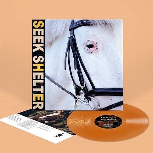 Iceage - Seek Shelter [Orange Vinyl]  (New Vinyl LP)