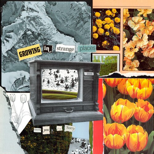 I'm Sorry Thank You - Growing In Strange Places [Orange Crush Vinyl]   (New Vinyl LP)