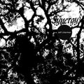 JEFF LIBERMAN - Synergy ((Vinyl))