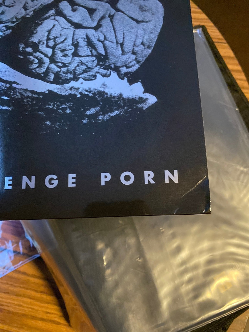 Jello Biafra And The Guantanamo School Of Medicine - Tea Party Revenge Porn [Clear Vinyl]  (Used Vinyl LP)