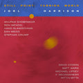 Joel Harrison - Still Point: Turning World ((Vinyl))