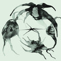 KASSEL JAEGER - A Rift In the Horizon's Wall ((Vinyl))