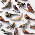 Kishi Bashi - Omoiyari [White Vinyl]  (New Vinyl LP)