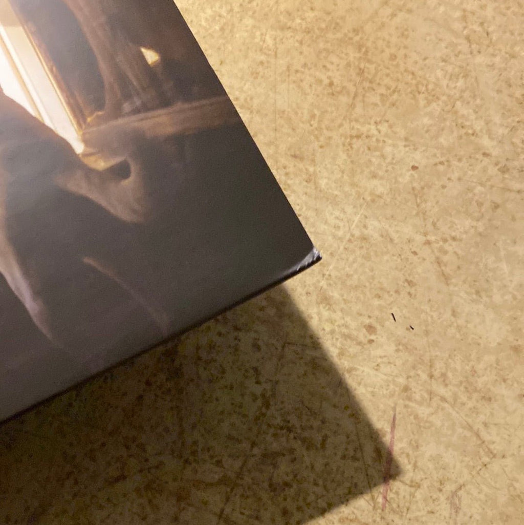 Laura Gibson - Goners  (Used Vinyl LP)