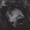 LES FILS DU CALVAIRE - Femmes d'Affaires ((Vinyl))