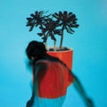 Local Natives - Sunlit Youth  (New Vinyl LP)