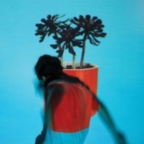 Local Natives - Sunlit Youth  (New Vinyl LP)