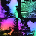 LUKE ABBOTT - Wysing Forest ((Vinyl))