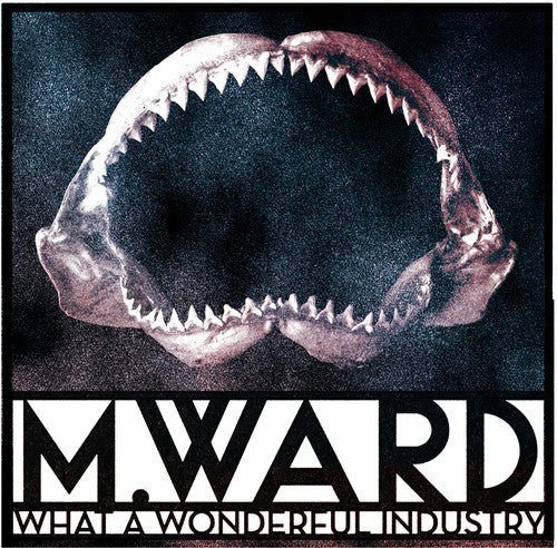 M. Ward - What a Wonderful Industry [Cloudy Clear Vinyl]  (New Vinyl LP)