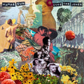 Mamas Gun - Cure The Jones  (New Vinyl LP)