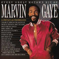 Marvin Gaye - Every Great Motown Hit Of Marvin Gaye: 15 Spectacular Performances  (New Vinyl LP)