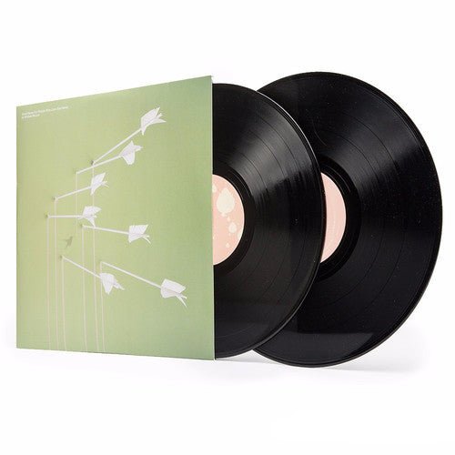 Modest Mouse - Good News for People Who Love Bad News  (New Vinyl LP)