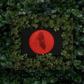 Moses Sumney - Live From Blackalachia [Clear Green Vinyl]  (New Vinyl LP)