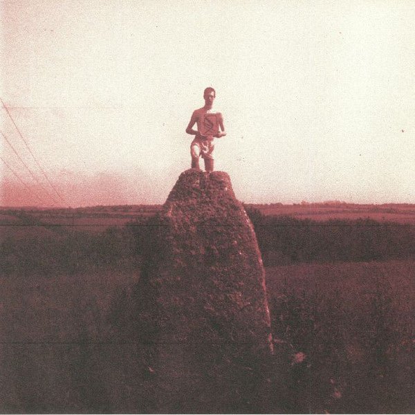 Mount Kimbie - Love What Survives Remixes 1  (New Vinyl LP)
