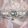 Mr. Mitch - Parallel Memories ((Vinyl))