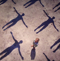 Muse - Absolution  (New Vinyl LP)
