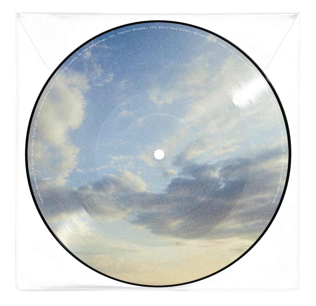 Niall Horan - Meltdown (Picture Disc Vinyl) [Import] (7" Single) ((Vinyl))