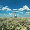 No Frills - Sad Clown ((Vinyl))