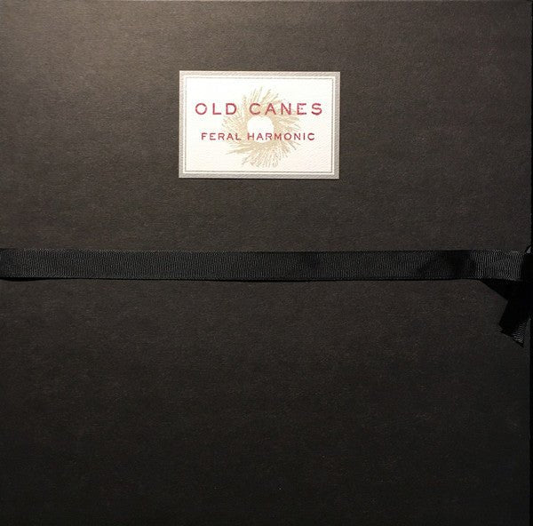 Old Canes - Feral Harmonic  (New Vinyl LP)