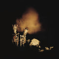 Pearl Jam - Riot Act  (New Vinyl LP)