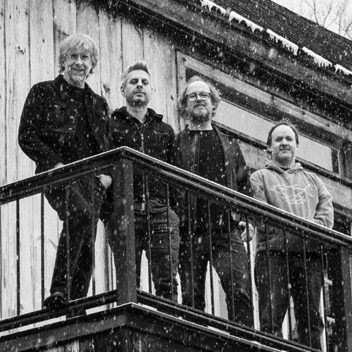 Phish - Sigma Oasis [Seafoam/Black Vinyl]  (New Vinyl LP)