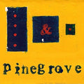 Pinegrove - Everything So Far (New Vinyl LP)