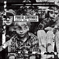 Pinhead Gunpowder - Carry the Banner [Colored Vinyl] (New Vinyl LP)