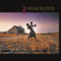Pink Floyd - A Collection Of Great Dance  (New Vinyl LP)
