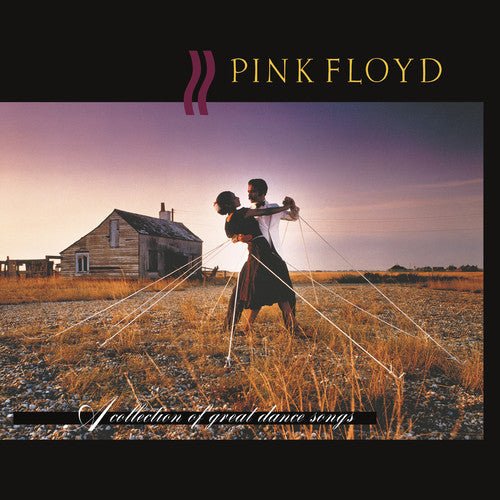 Pink Floyd - A Collection Of Great Dance  (New Vinyl LP)