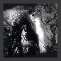 PISETZKY - Tears Of A Rough Machine ((Vinyl))