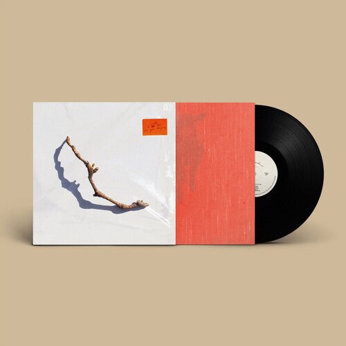 PJ Harvey - I Inside The Old Year Dying  (New Vinyl LP)