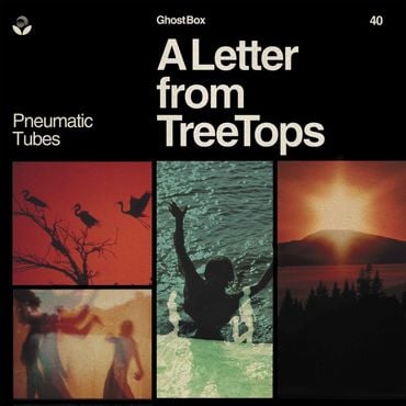 Pneumatic Tubes - A Letter From TreeTops  (New Vinyl LP)