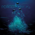 PORTER RICKS - Porter Ricks ((Vinyl))