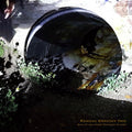 RADICAL EMPATHY TRIO - Reality And Other Imaginary Places ((Vinyl))