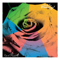 Rick Rude - Verb For Dreaming ((Vinyl))