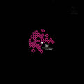 RYO MURAKAMI - Down The Sky ((Vinyl))