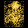 Sanguine Eagle - Shores Of Avarice  (New Vinyl LP)