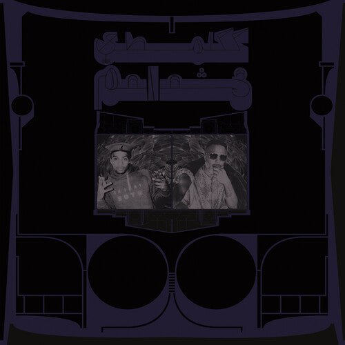 Shabazz Palaces - Exotic Birds of Prey [White Vinyl]  (New Vinyl LP)