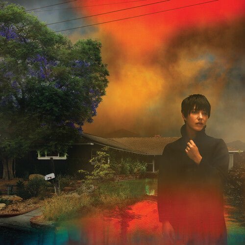 Sharon Van Etten - We've Been Going About This All Wrong [Marbled Smoke Vinyl]  (New Vinyl LP)