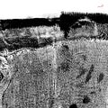 Sheherazaad - Qasr ((Vinyl))