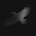 Sigur Ros ‎- Odins Raven Magic  (New Vinyl LP)