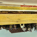 Siskiyou - Not Somewhere  (New Vinyl LP)